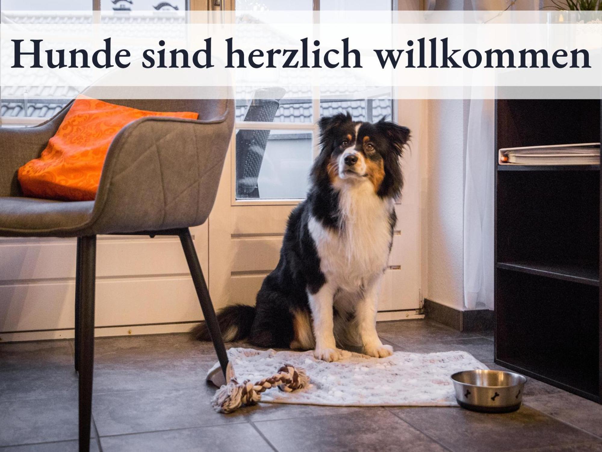 Apartment Blumenvilla - 15 Minuten Bis Zum Heide Park, Haustiere Willkommen, Sauna Im Gebaeude *